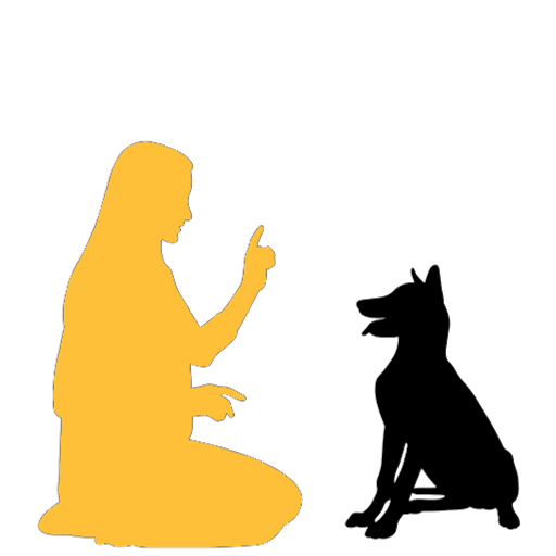Dog Trainer School in charlotte, north carolina
