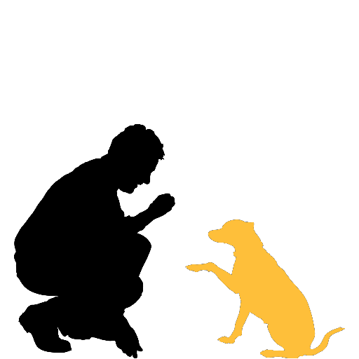 hearing impaired deaf dog training in NC