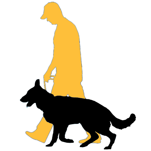 obedience dog training in charlotte NC